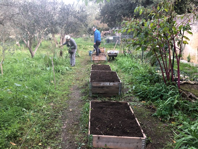 potager